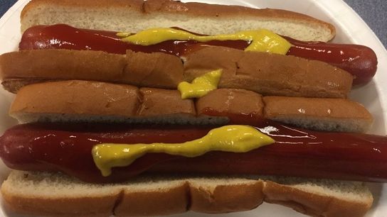 Molinari's Talking Point: Chiens Chauds provide food for thought taken at PPG Paints Arena (Penguins)